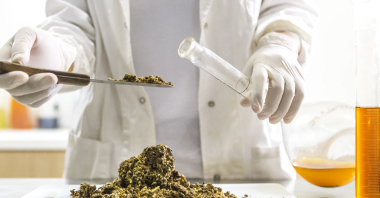 Cannabinoid Formulations
