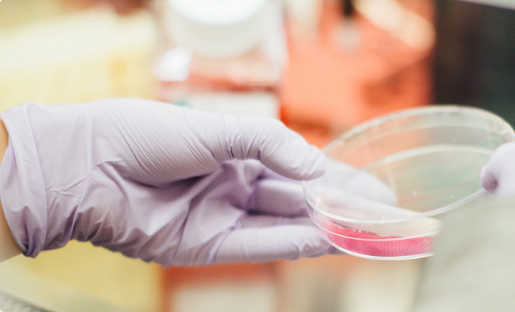 Formulation Solutions